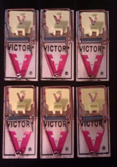 6 Victor Mouse Snap Traps M325 Pro – Holdfast ~ Kill and Control Mice