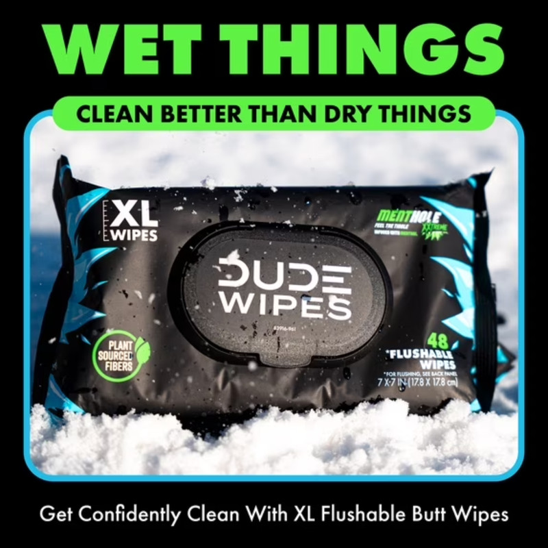 2Pack DUDE Wipes XL Flushable Wet Wipes MentHOLE XXtreme 144 Ct Pack gallery