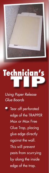 12 Trapper Max Free Unscented Mouse Glue Traps GlueBoards Trapper Max MouseTraps gallery