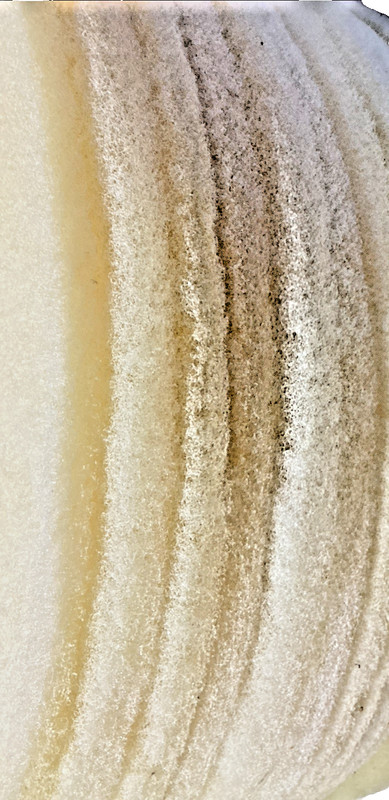 27” Floor Machine Pad Thick Beige First Quality Select Polishing Scrubber (QT 6) gallery