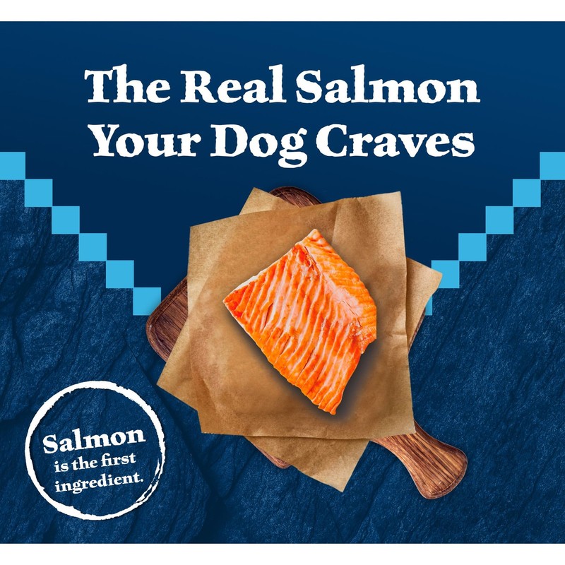 Blue Buffalo Wilderness Natural High-Protein Dry Food For Adult Dogs Salmon gallery