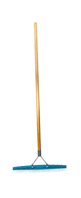 Grandi Groom AB24 Carpet Rake, 18-Inch Head, 54-Inch Handle, Blue