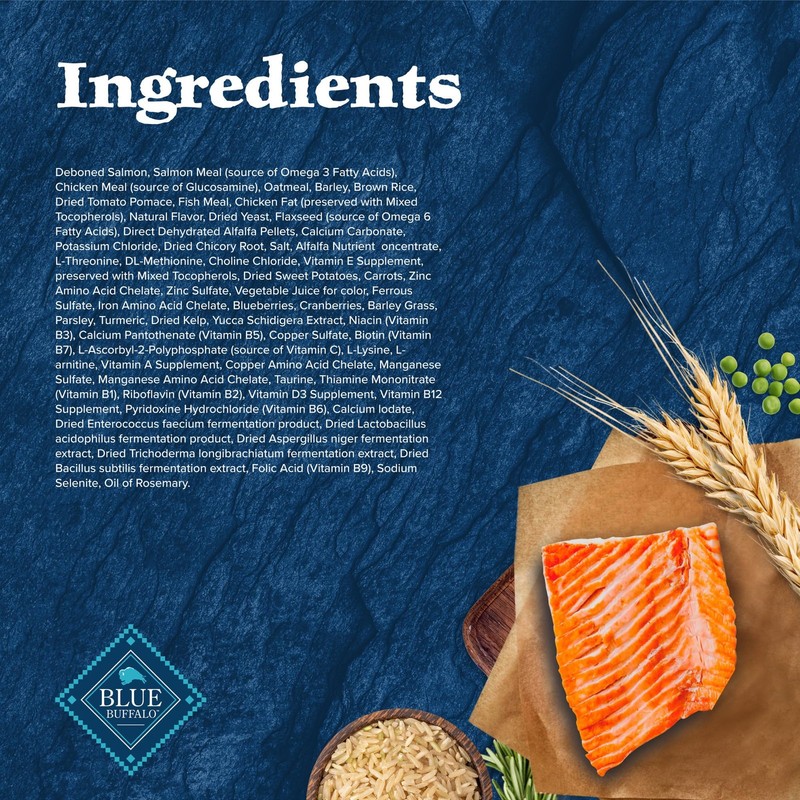 Blue Buffalo Wilderness Natural High-Protein Dry Food For Adult Dogs Salmon gallery