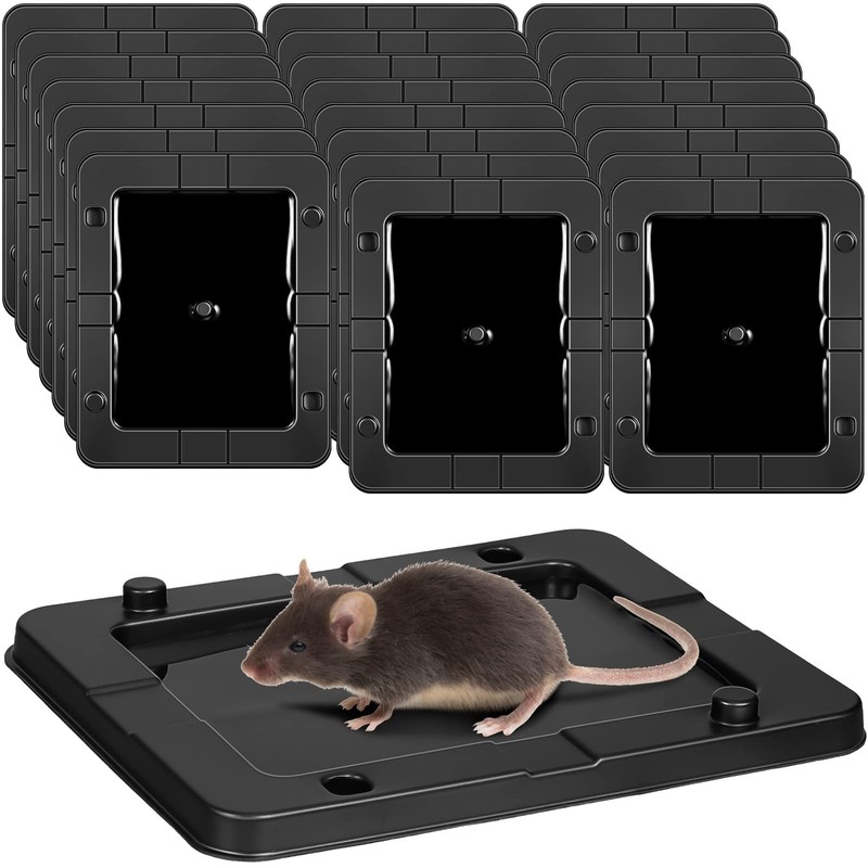 Qualirey 24 Pack Mouse Insect Glue Traps Bulk Strong Sticky Traps…