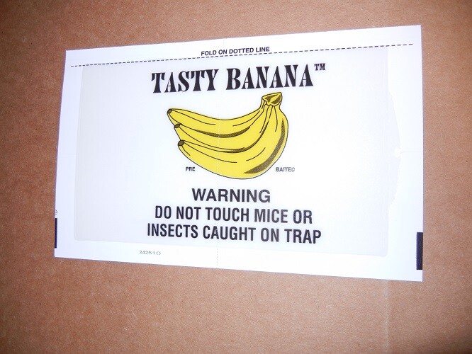 24 Catchmaster Banana Flavor Glue Board Mouse Traps 72TB