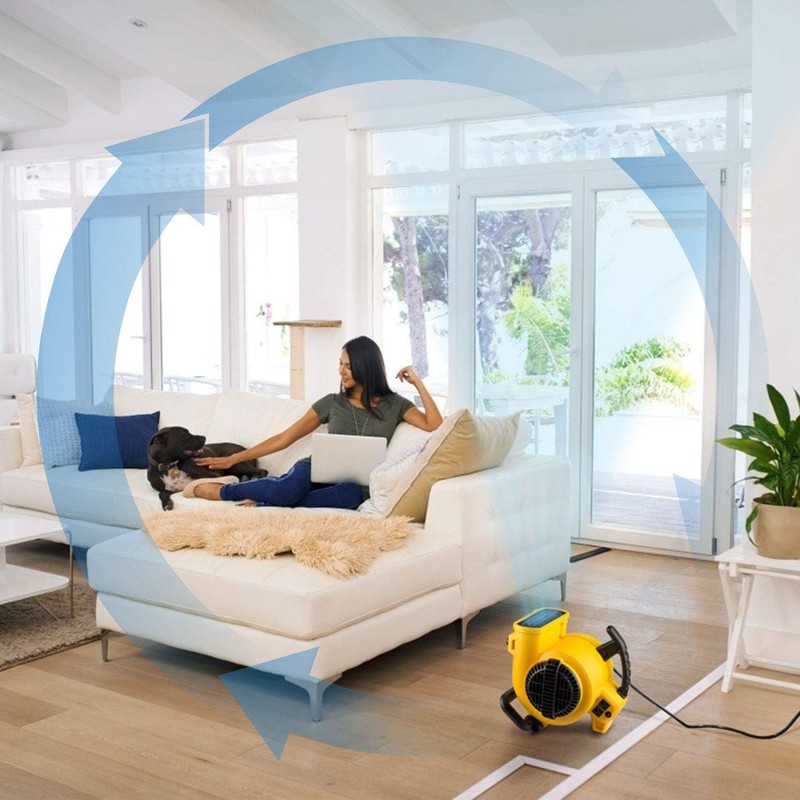 DEWALT DXAM-2260 600 CFM 3-Speed Portable Air Mover Floor Fan gallery