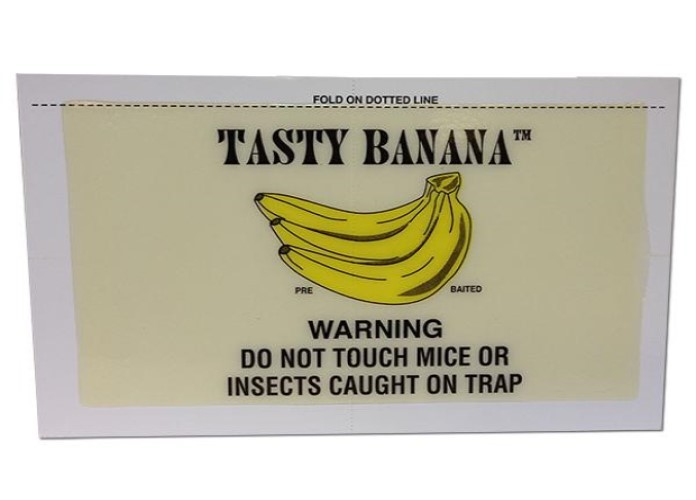 Catchmaster 72TB Tasty Banana Glue Board ( 72 Glue Boards ) Critter & Bug Trap