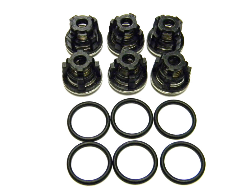 OEM AR Annovi Reverberi AR2780 Check Valve Kit XW, XWA, XWT, XWF, XWL, XWLA Pump