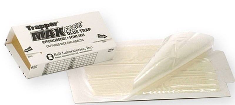 12 Trapper Max Free Unscented Mouse Glue Traps GlueBoards Trapper Max MouseTraps gallery
