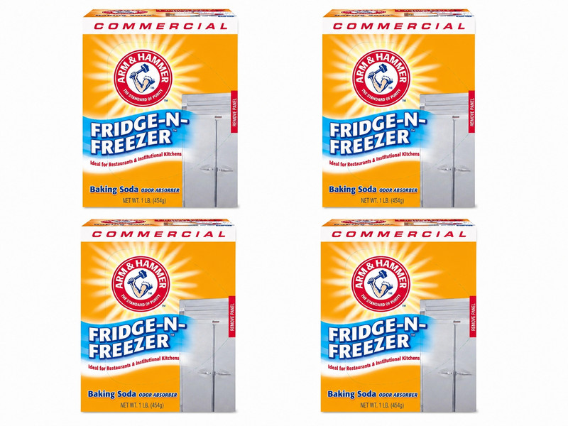 Arm & Hammer 16 oz. Fridge-n-Freezer Pack Baking Soda (4 Pack)