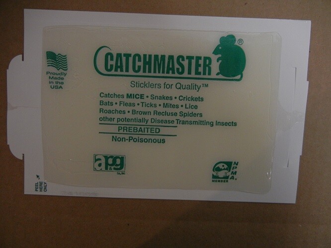 10 Catchmaster Peanut Butter Flavor Glue Boards Mouse 72MB - Regular