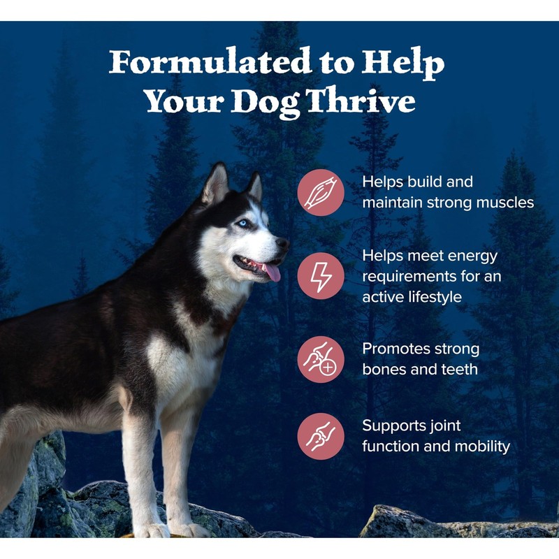 Blue Buffalo Wilderness Natural High-Protein Dry Food For Adult Dogs Salmon gallery