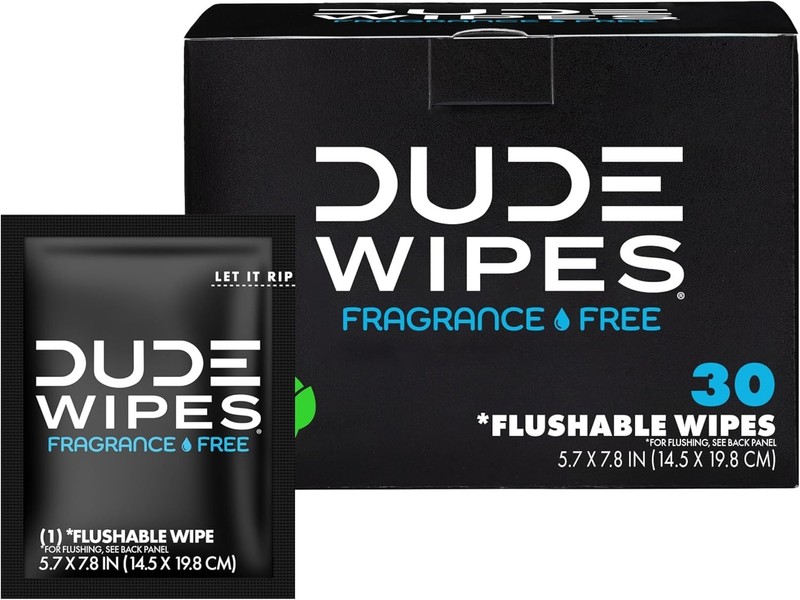 Large DUDE Wipes On-The-Go Flushable 30 Wet Wipes – Brand New in Box