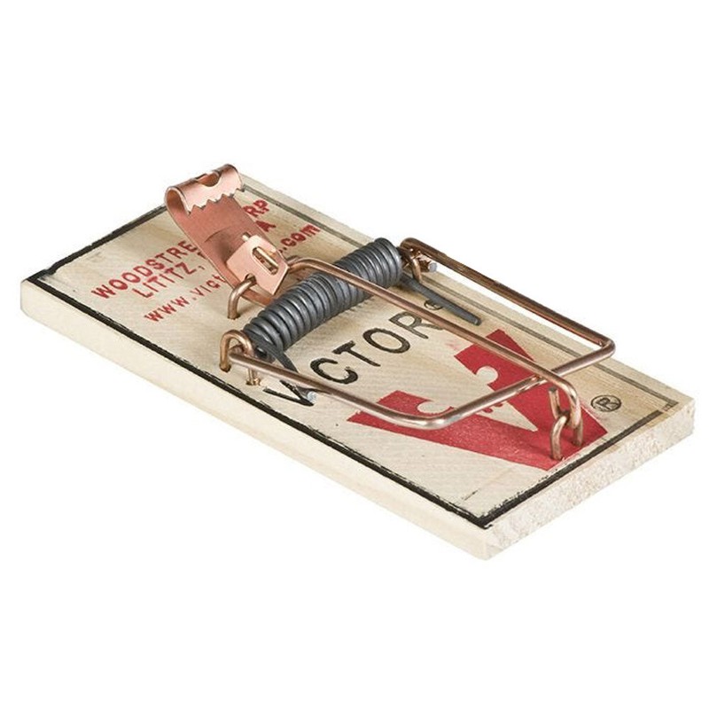 Victor M040 Metal Pedal Mouse Traps ( 24 Pack) Victor Snap Trap Wood Mice Traps